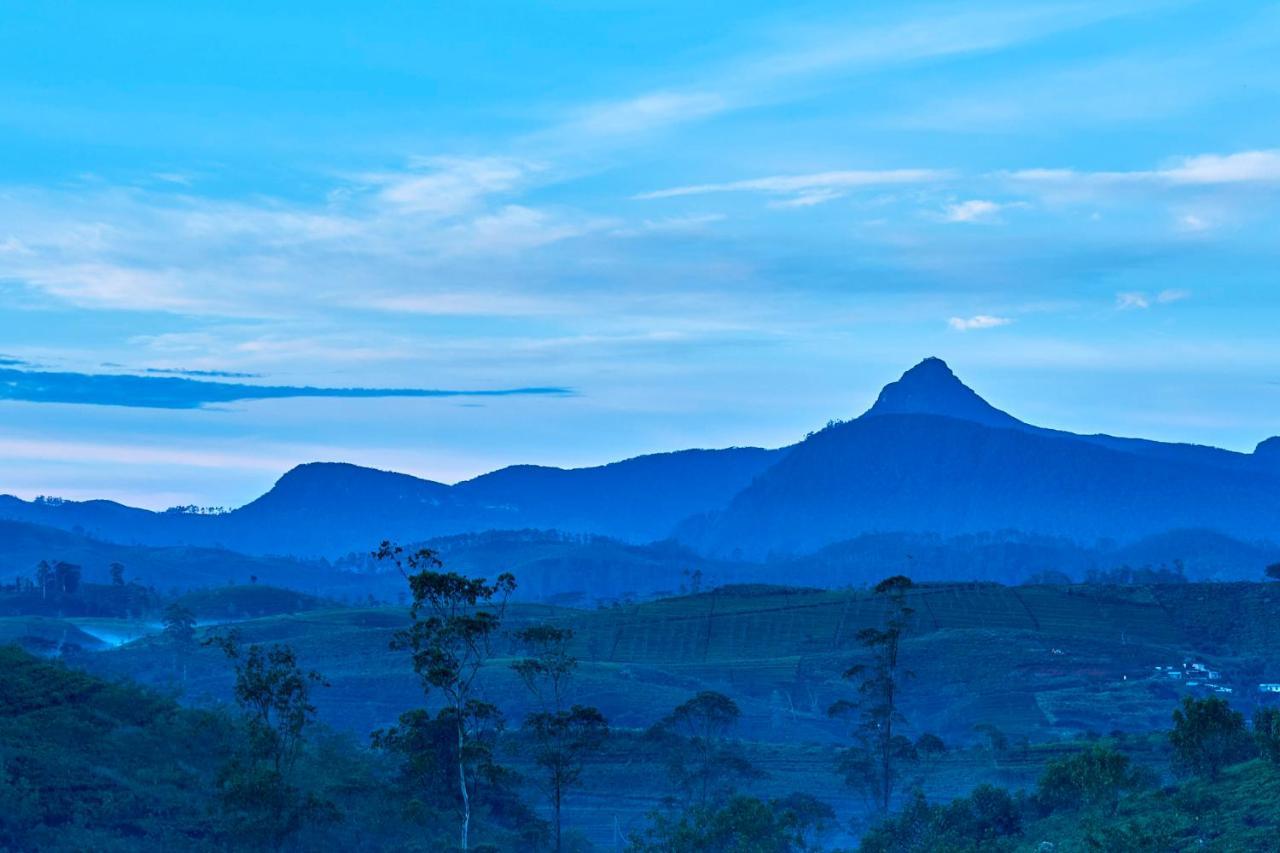The Argyle Luxury Boutique Hotel Hatton Luaran gambar