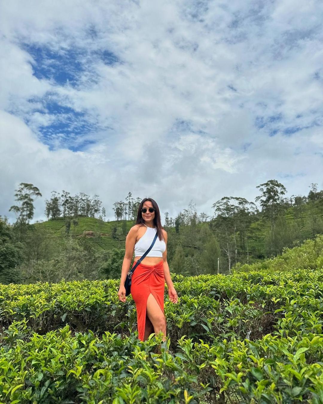 The Argyle Luxury Boutique Hotel Hatton Luaran gambar